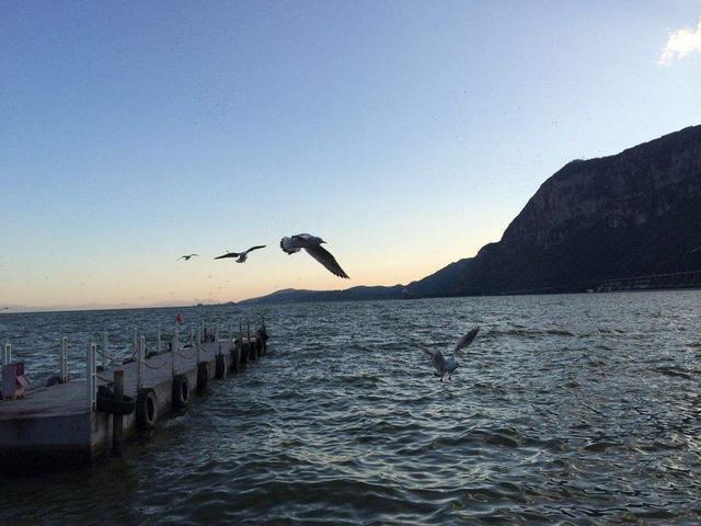 中国五大世界级春城：年均气温均在16度以上