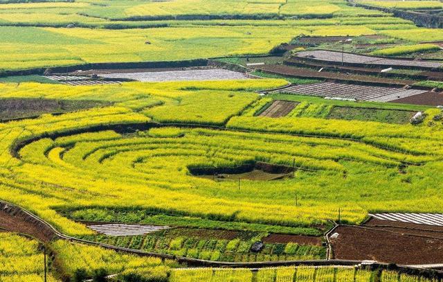 中国五大世界级春城：年均气温均在16度以上