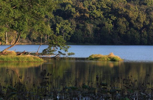 中国五大世界级春城：年均气温均在16度以上