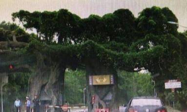 男子2000万买海景别墅 结果每天回家都要买门票