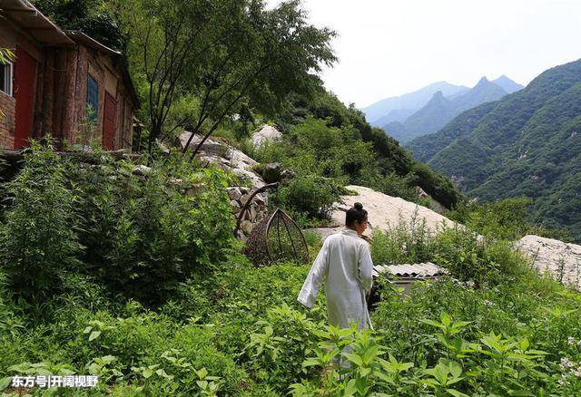 80后女硕士逃离红尘世间独自隐居终南山修道