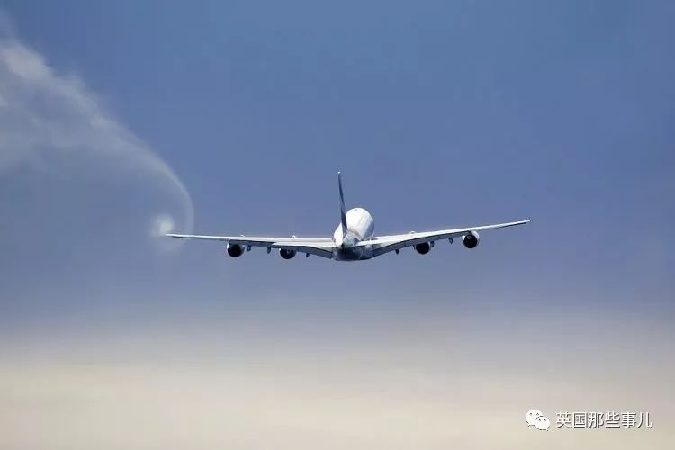 靠假证上岗，他居然开了五年客机载几万乘客...