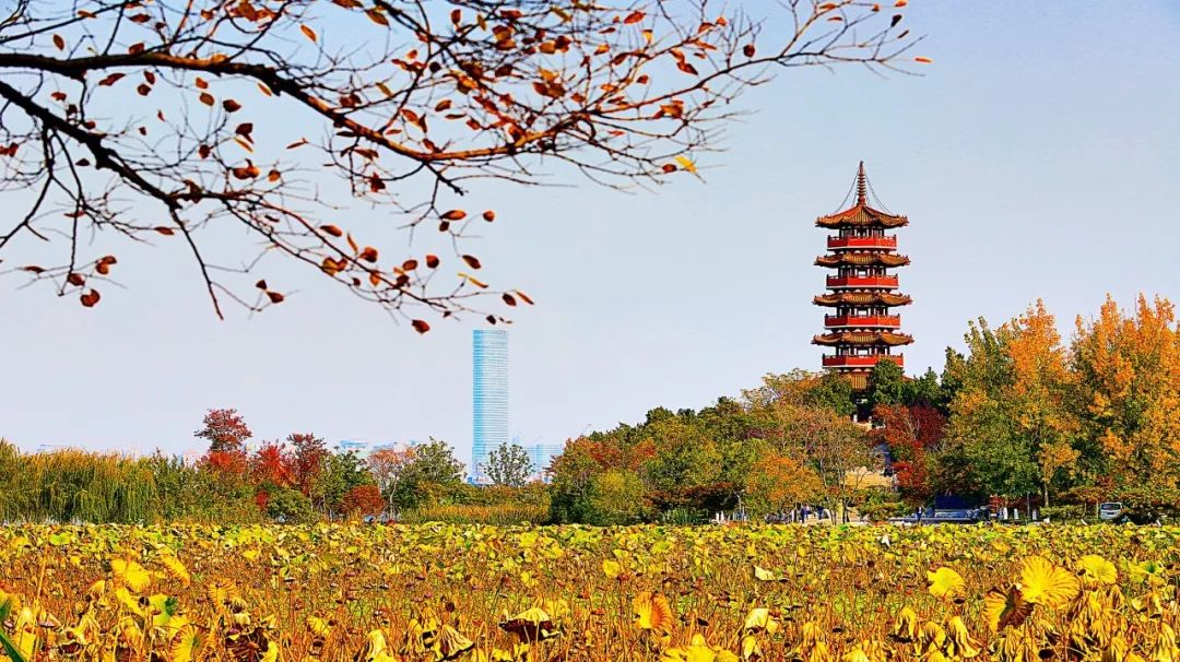 中国最爱内斗的省份