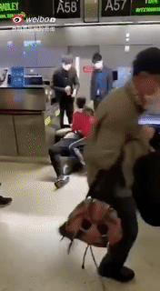 华人夫妇机场下跪号啕大哭5.gif 华人夫妇机场下跪号啕大哭5.gif