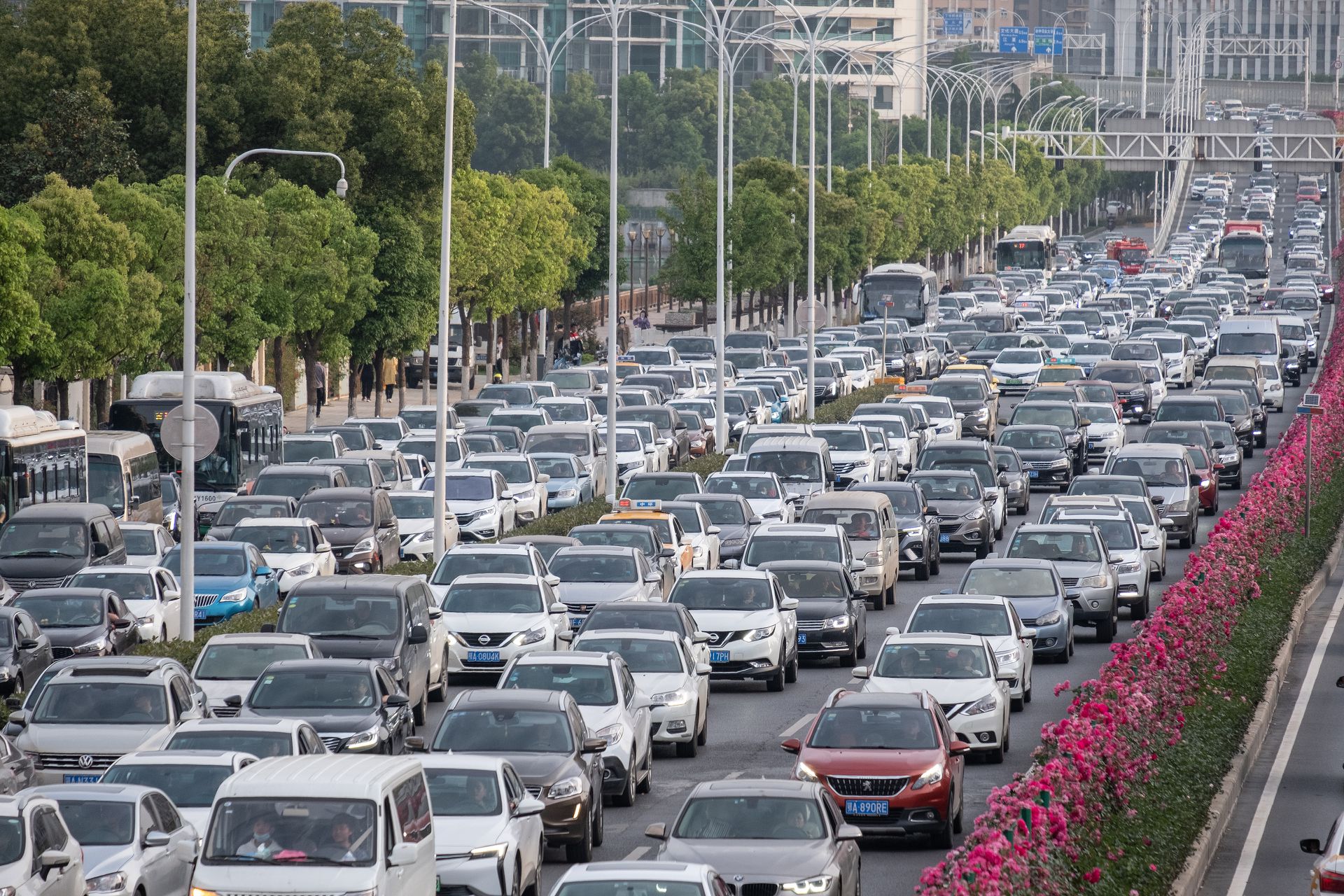 疫情以来中国最热小长假