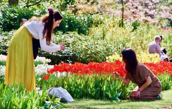 过度旅游：为什么当代人都爱花钱去买罪受？