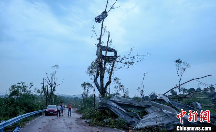 武汉龙卷风灾现场:大树拦腰断 厂房屋顶掀翻