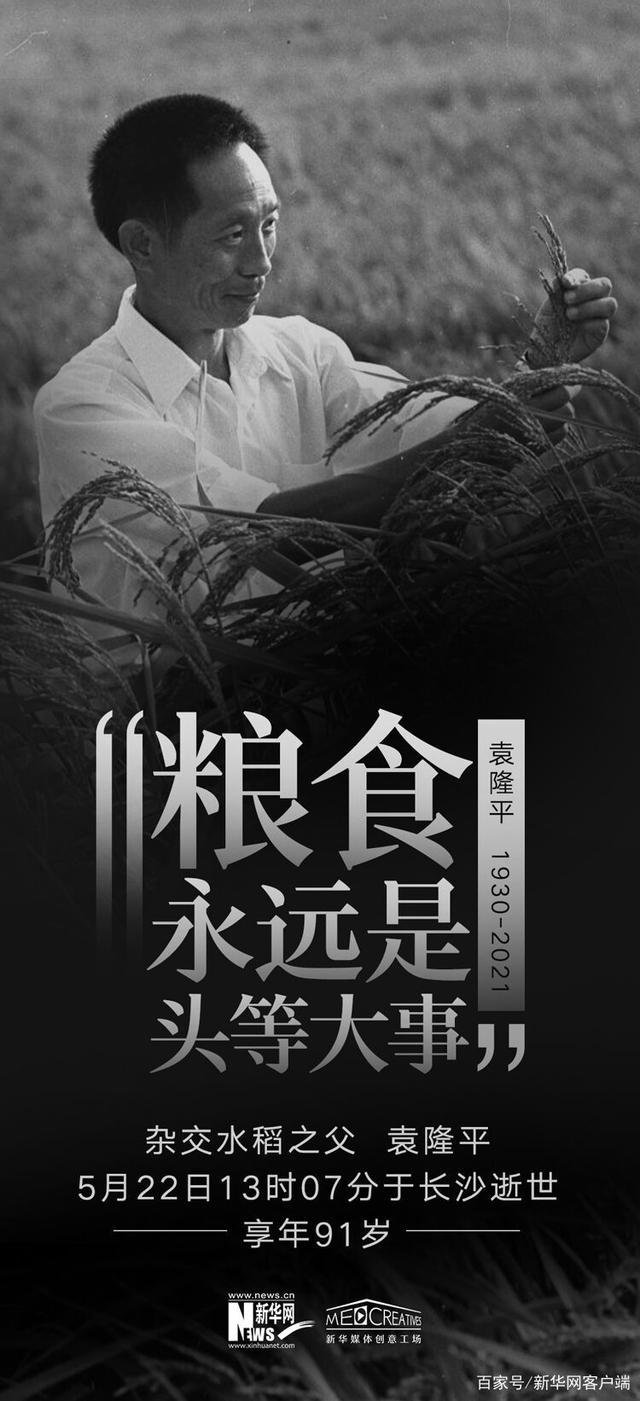 杂交水稻之父 共和国勋章获得者 袁隆平逝世