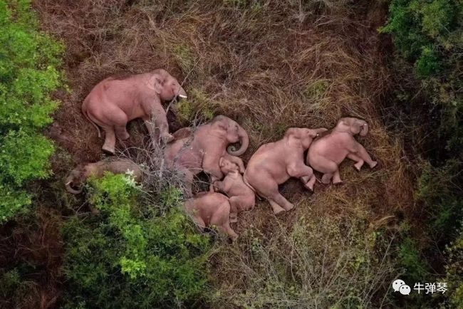 今年最出色的国家宣传片
