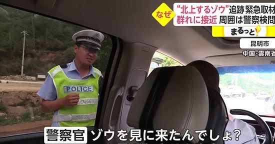 今年最出色的国家宣传片