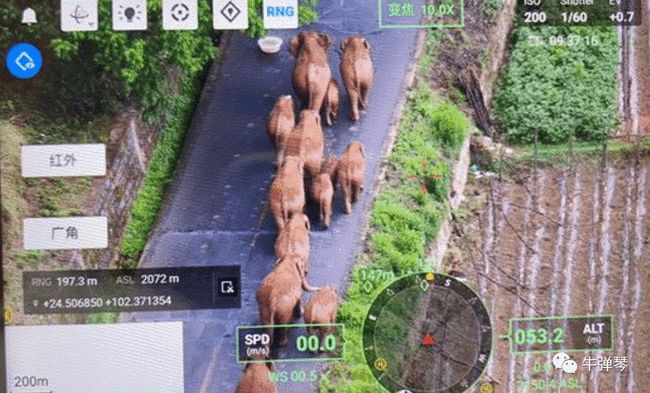 今年最出色的国家宣传片