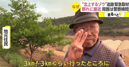 今年最出色的国家宣传片