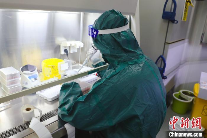 工作人员在做样本检测