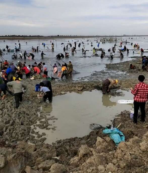 安徽湖水位大降 万人抓鱼 场面壮观 按袋卖