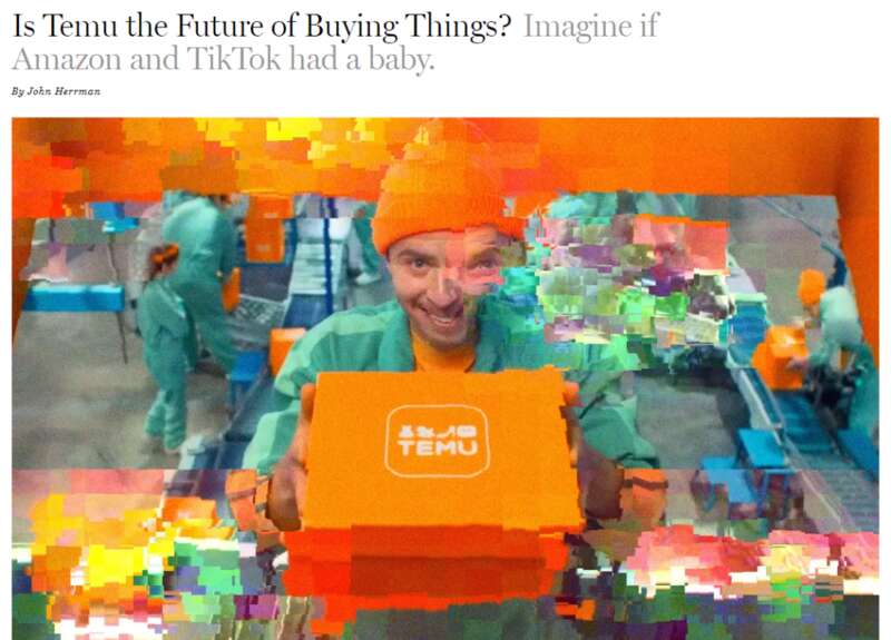 《纽约客》杂志本月初的一篇文章，将Temu比做“亚马逊和抖音的孩子”