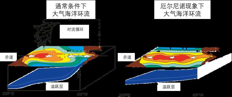 厄尔尼诺到来，基本已成定局