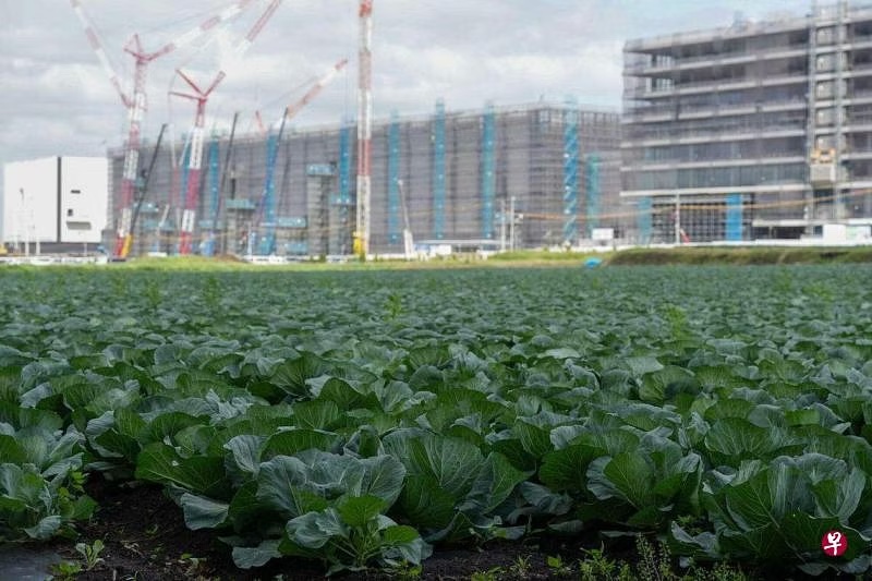 全球经济放缓 日本出口增速创两年来新低