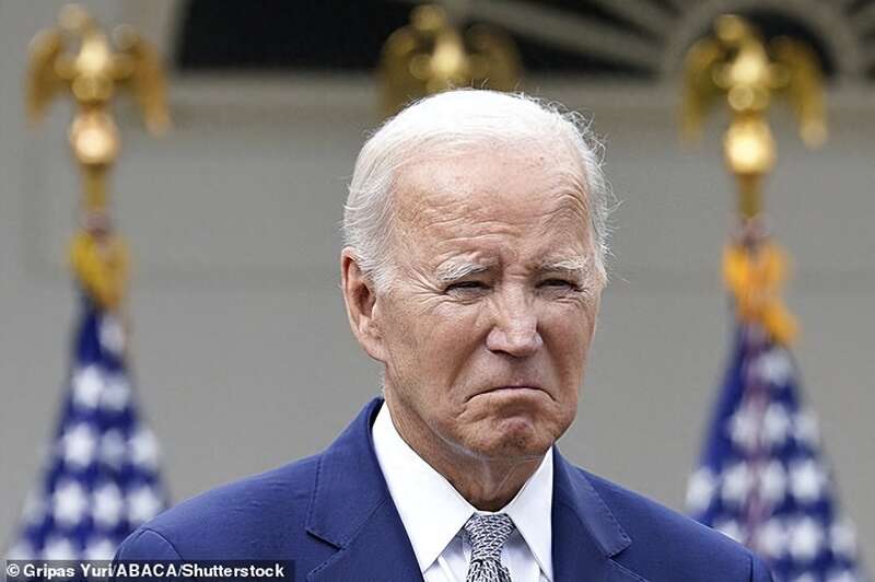 现在无论是左翼还是右翼，美国政界的不少人都强烈要求拜登退出下届选举