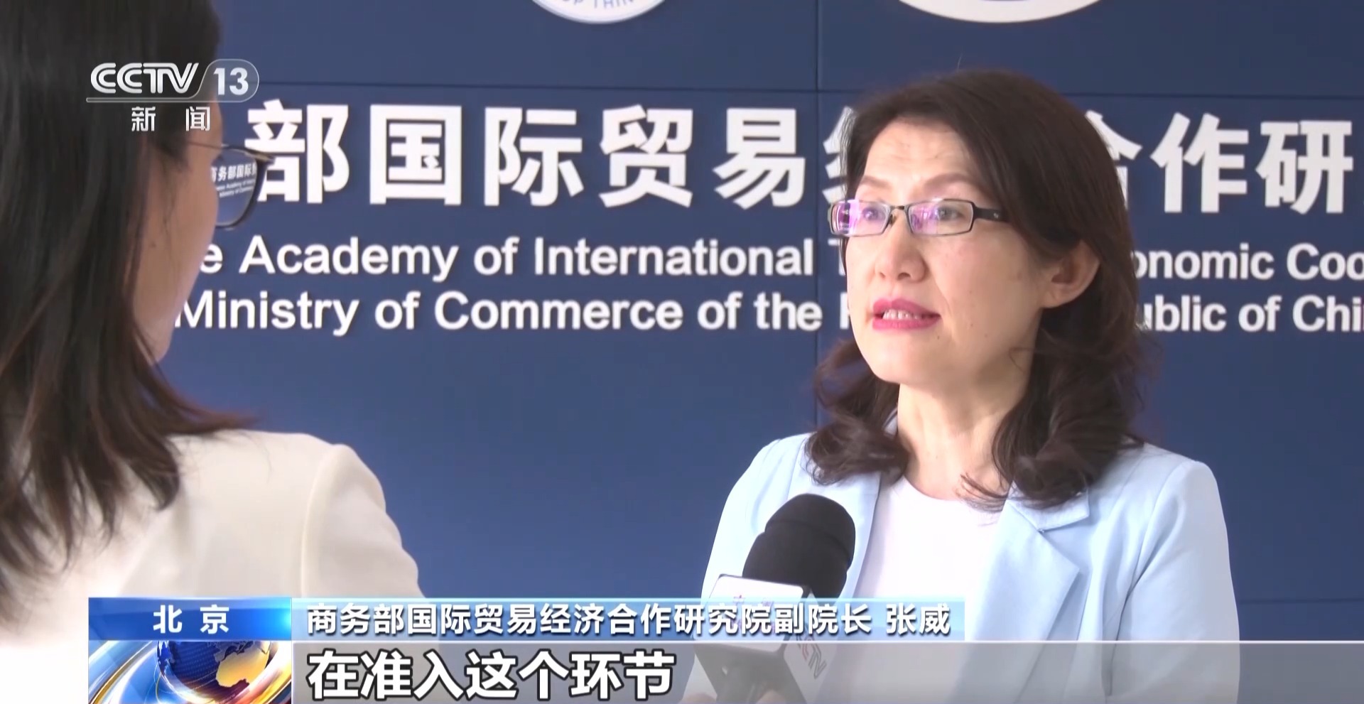 商务部国际贸易经济合作研究院副院长 张威