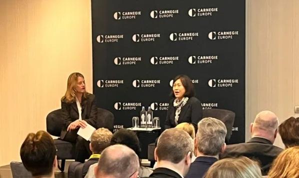 戴琪在卡内基基金会欧洲分部发表讲话